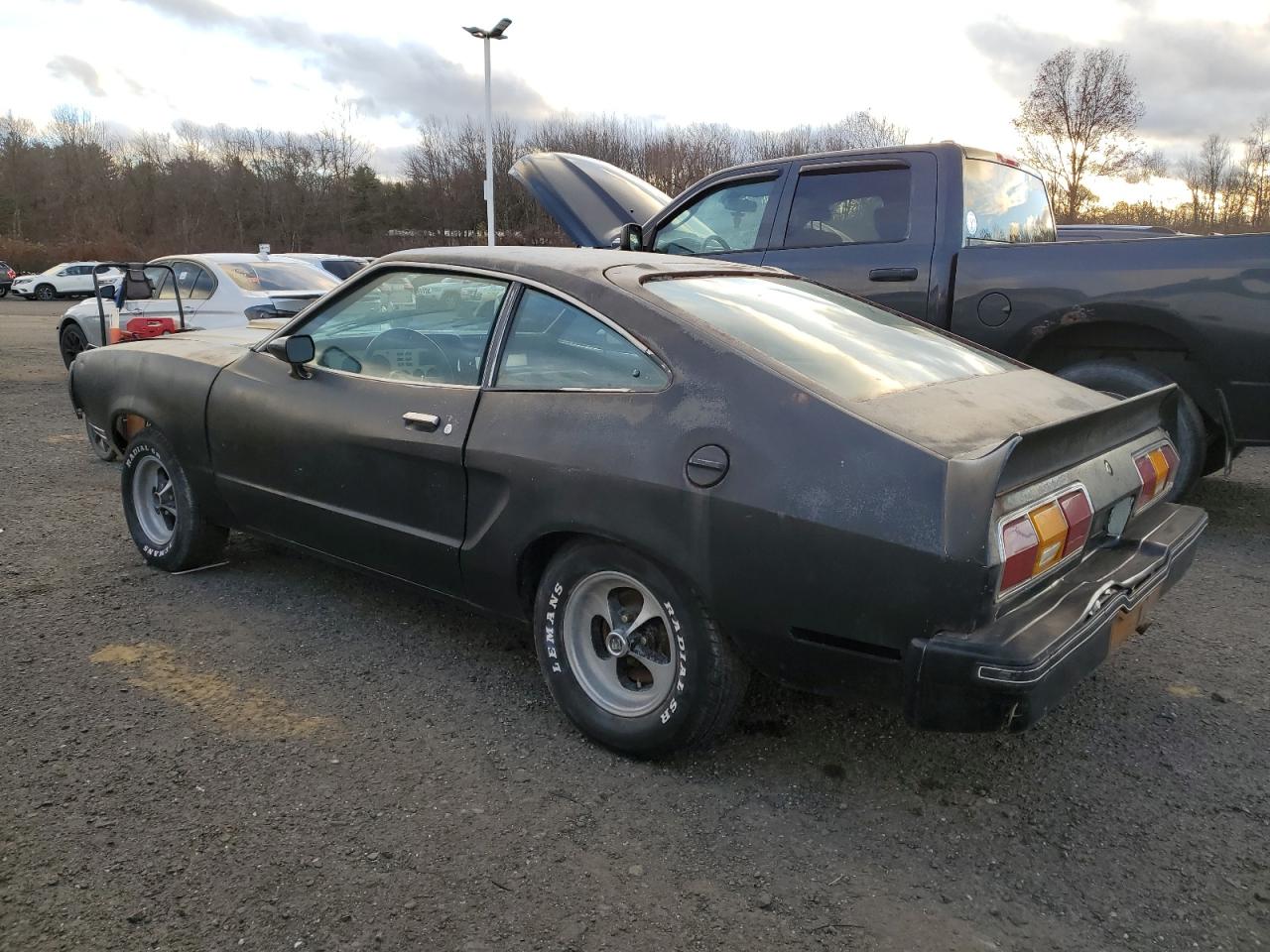 1977 Ford Mustang Black vin: 7F03F189260