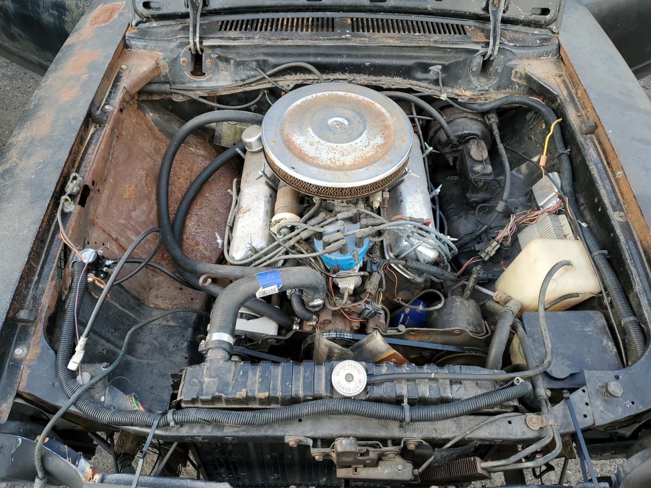 1977 Ford Mustang Black vin: 7F03F189260