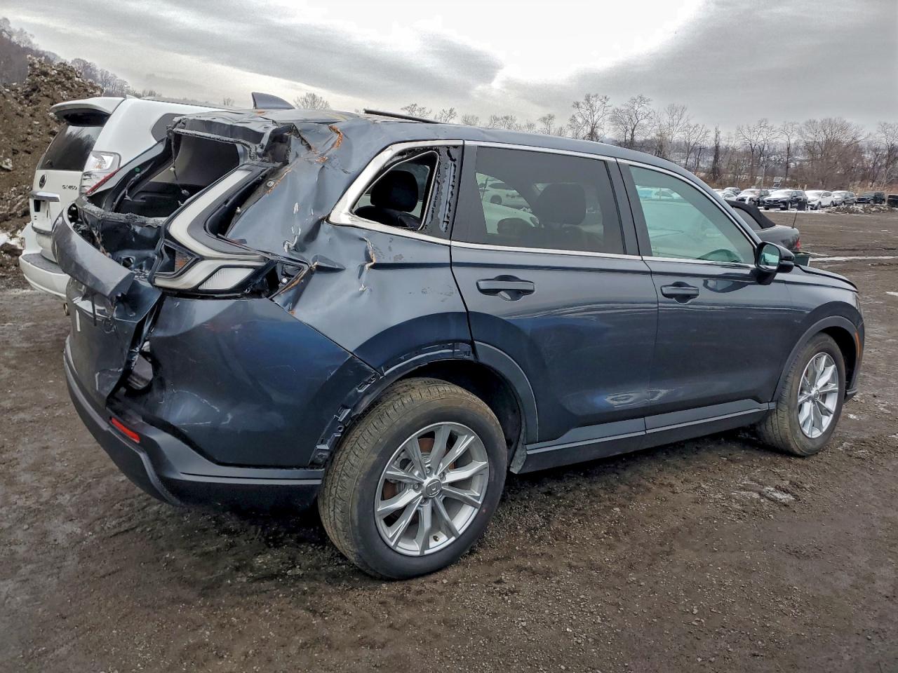 2024 Honda Cr-v Ex Gray vin: 7FARS4H44RE017676