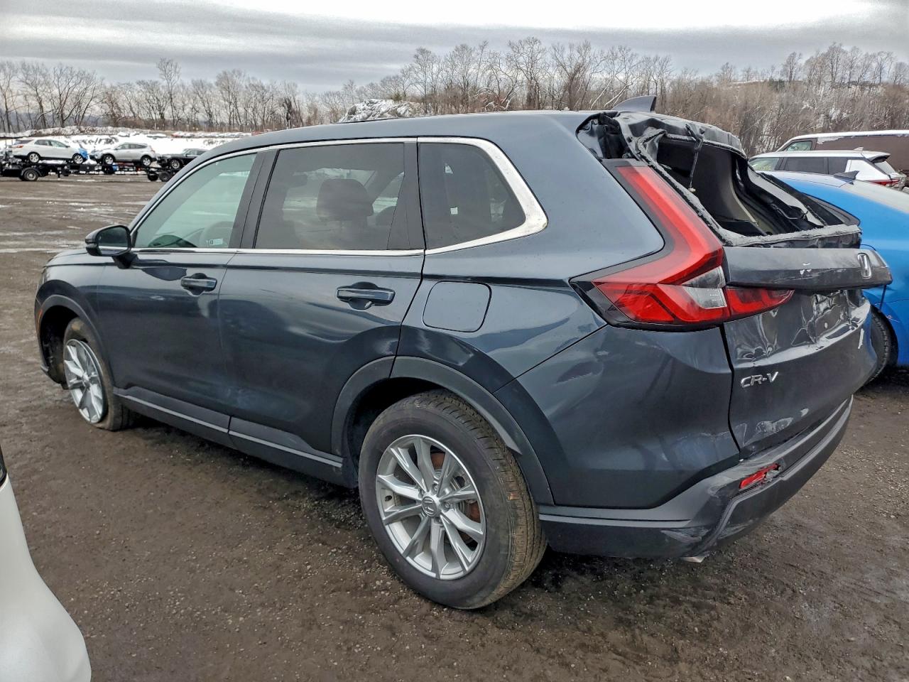 2024 Honda Cr-v Ex Gray vin: 7FARS4H44RE017676