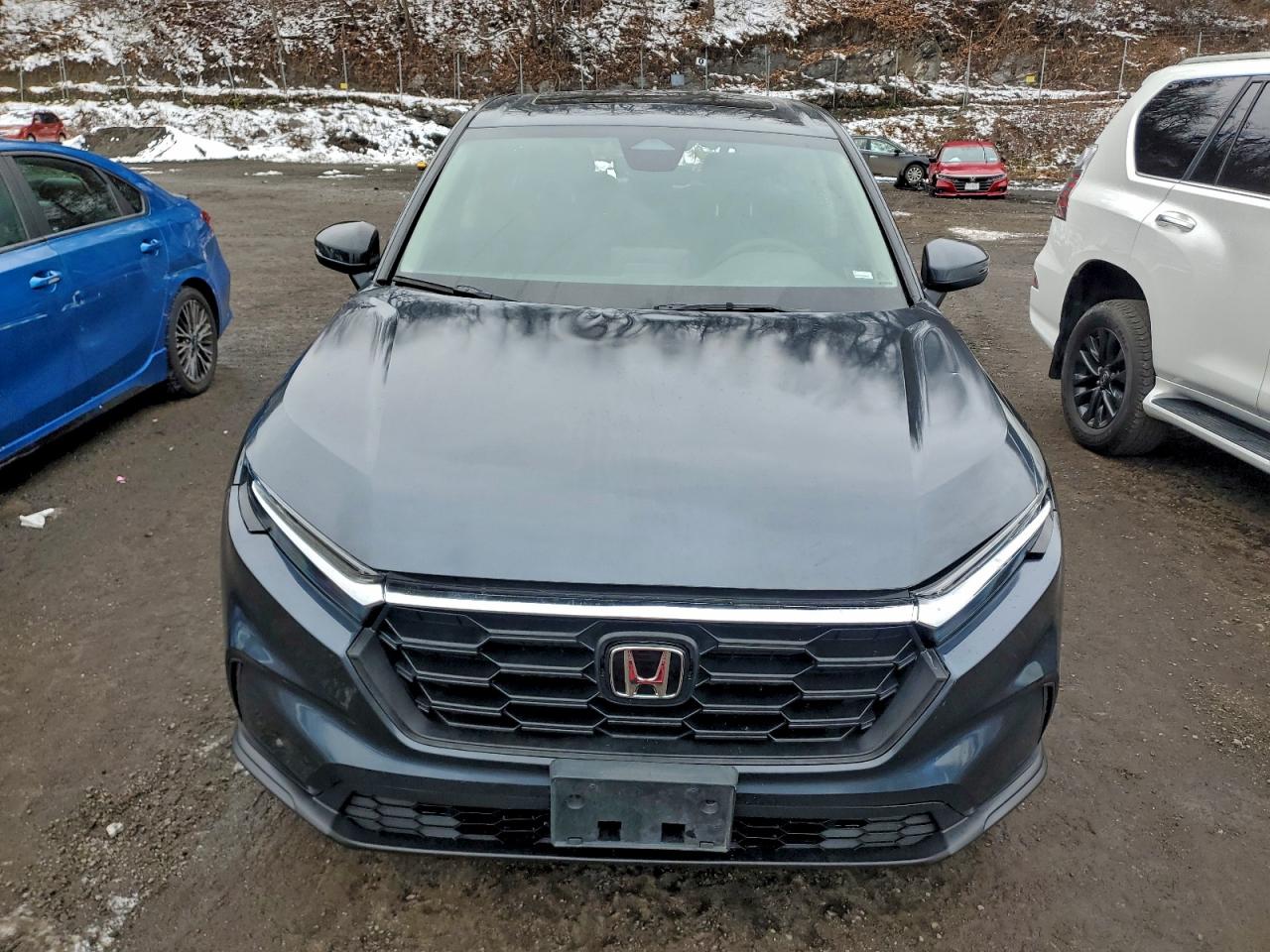 2024 Honda Cr-v Ex Gray vin: 7FARS4H44RE017676