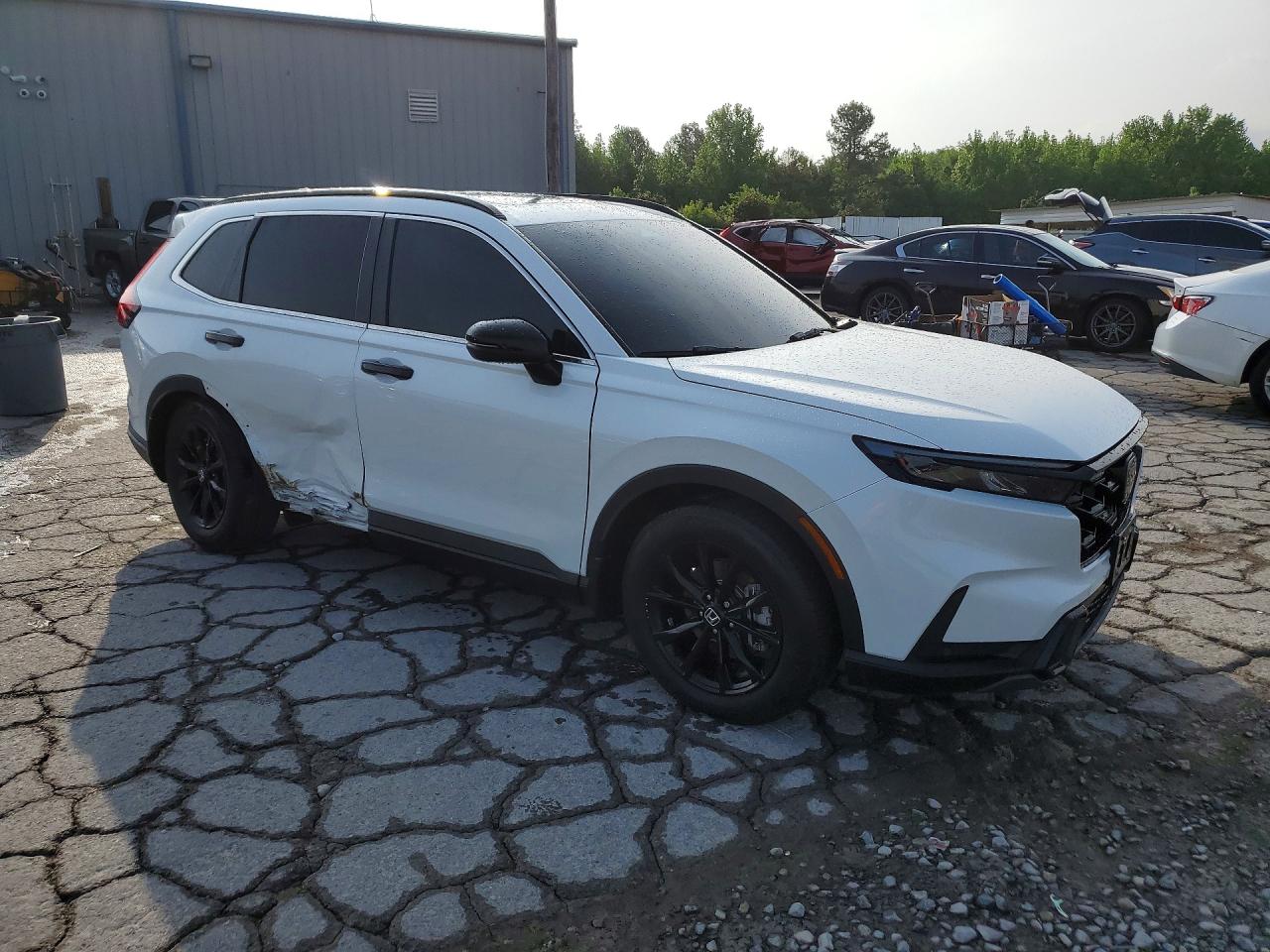 2024 Honda Cr-v Sport-l White vin: 7FARS5H86RE001519