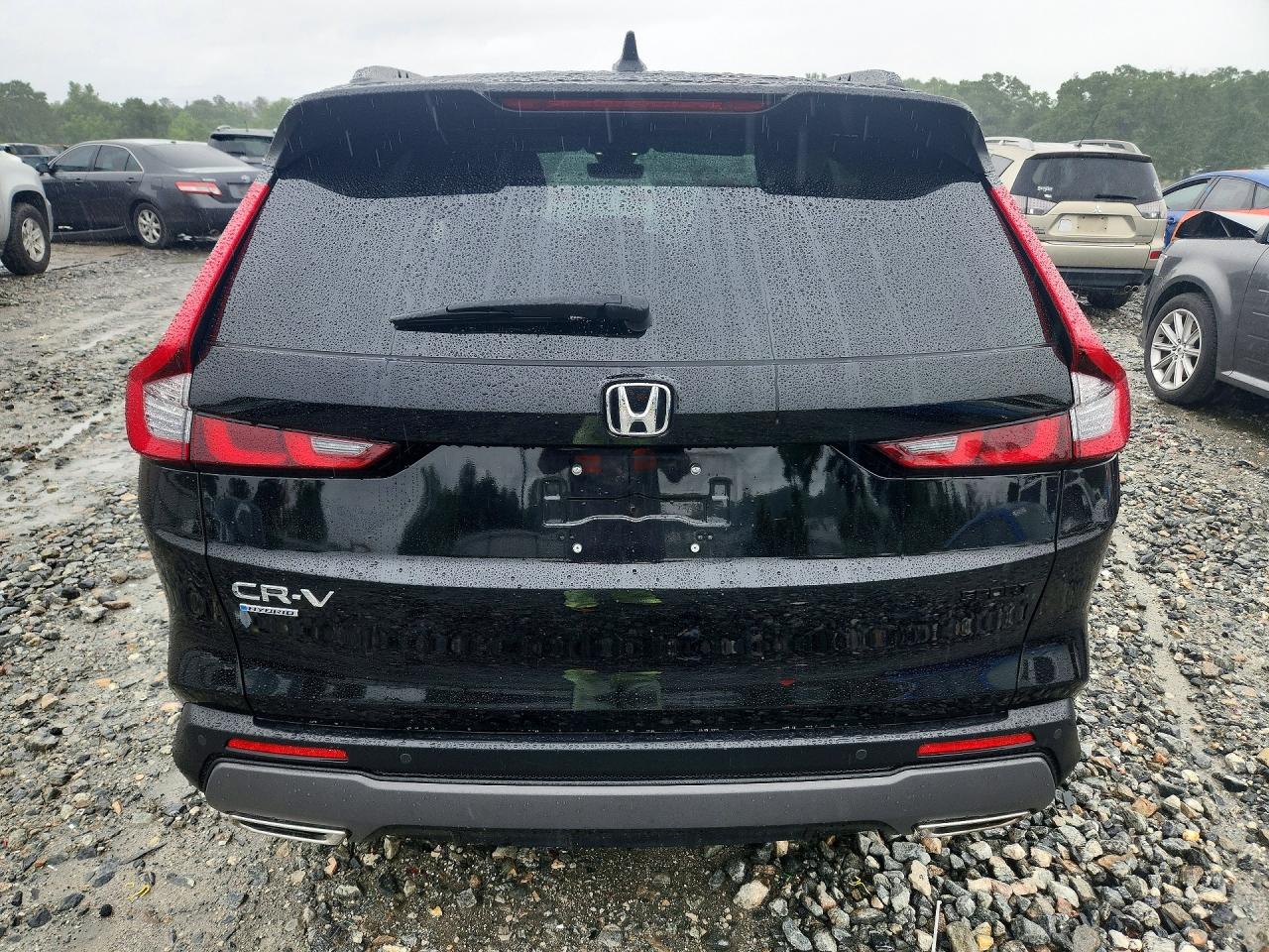 2025 Honda Cr-v Sport-l Black vin: 7FARS5H87SE003916