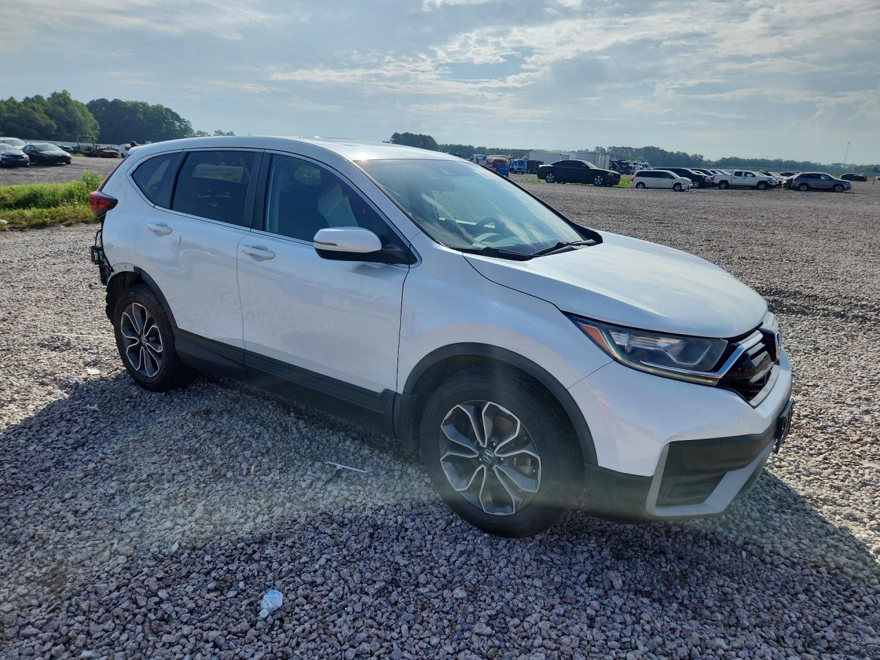 2020 Honda Cr-v Ex White vin: 7FARW1H57LE028206