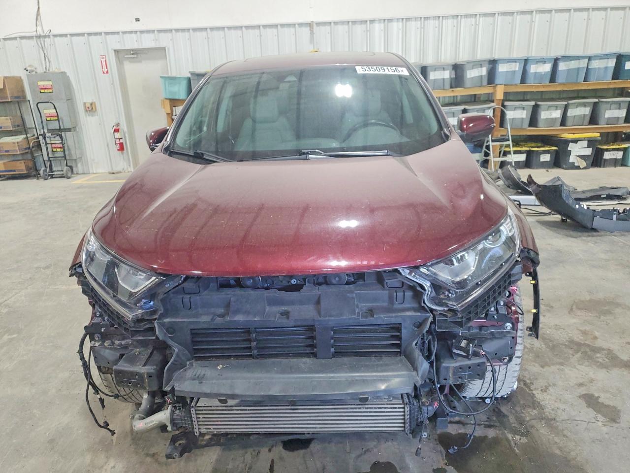 2019 Honda Cr-v Exl Burgundy vin: 7FARW1H83KE012576
