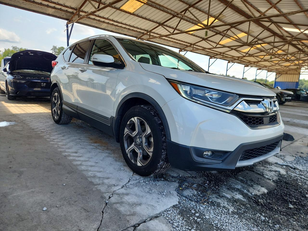 2019 Honda Cr-v Exl White vin: 7FARW1H84KE006642