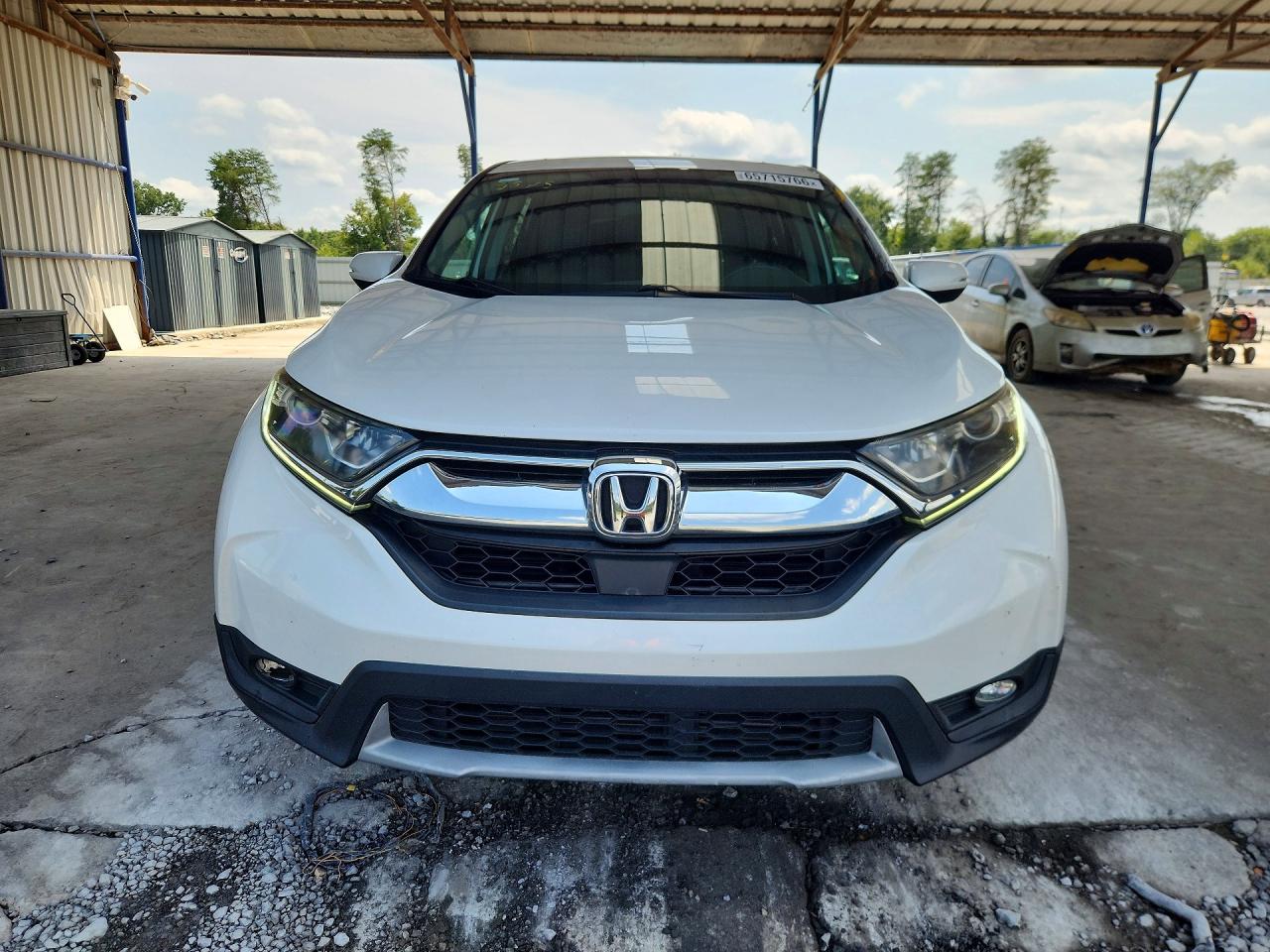 2019 Honda Cr-v Exl White vin: 7FARW1H84KE006642