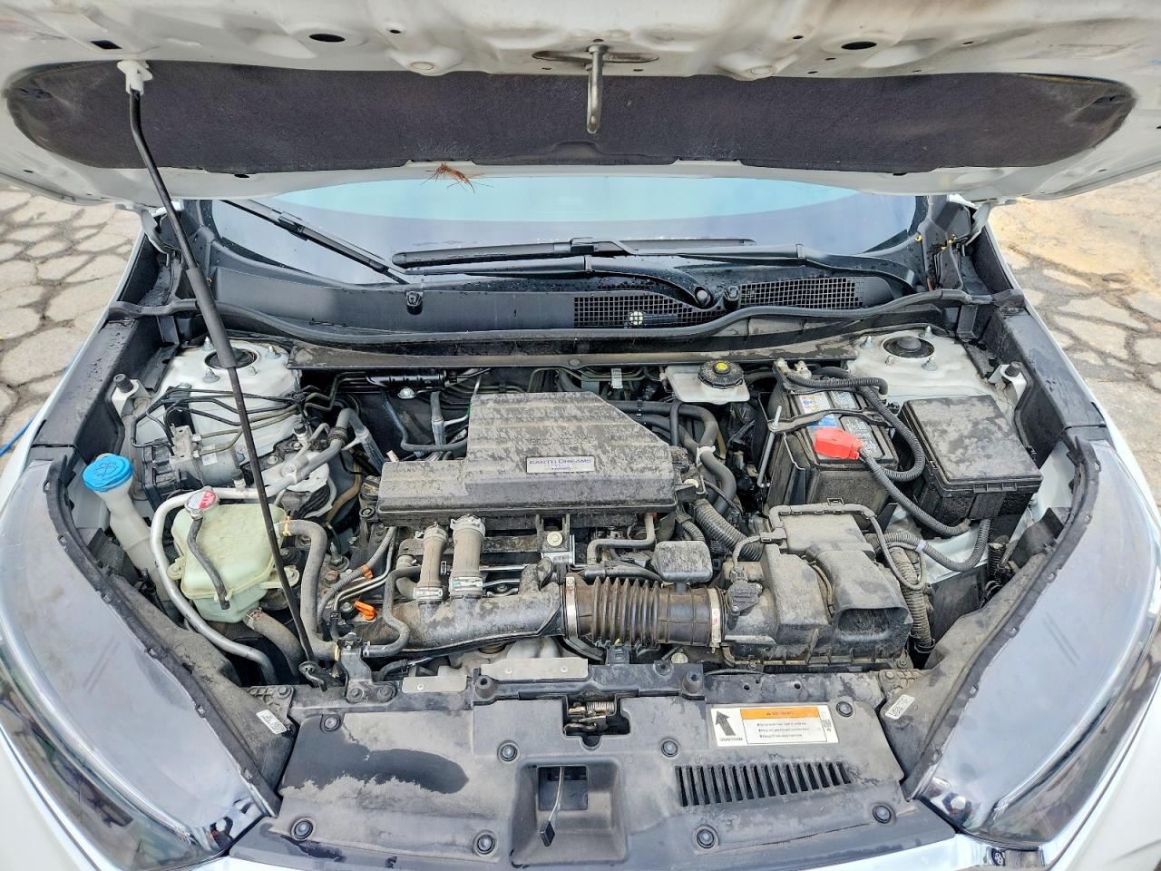 2019 Honda Cr-v Exl White vin: 7FARW2H8XKE063417