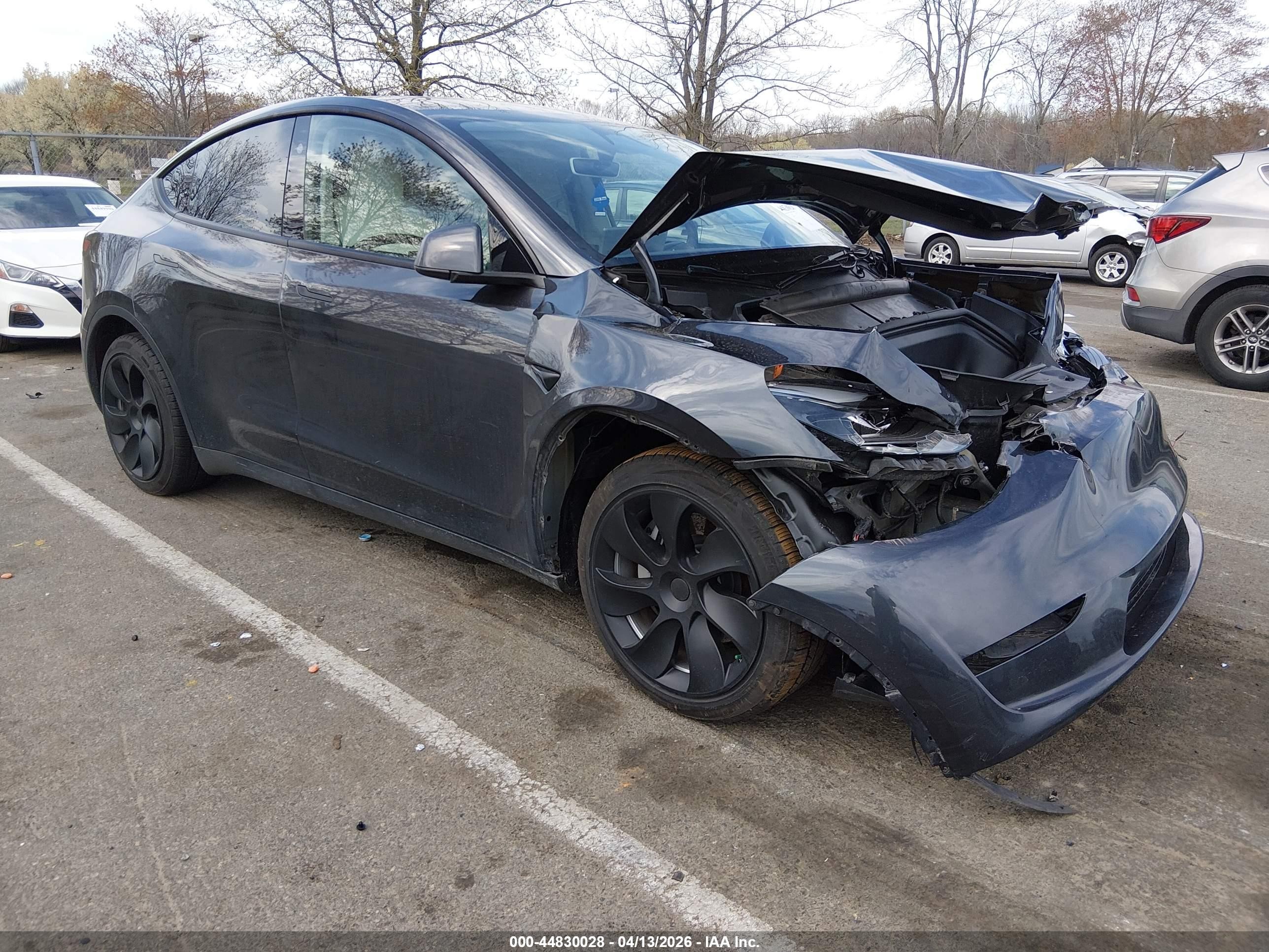 2024 Tesla Model Y Long Range Dual Motor All-wheel Drive Серый vin: 7SAYGAEE4RF022481