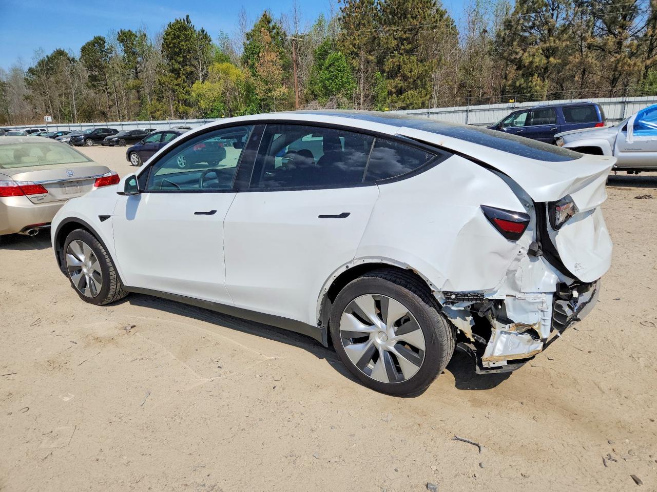 2023 Tesla Model Y White vin: 7SAYGAEE6PF599137