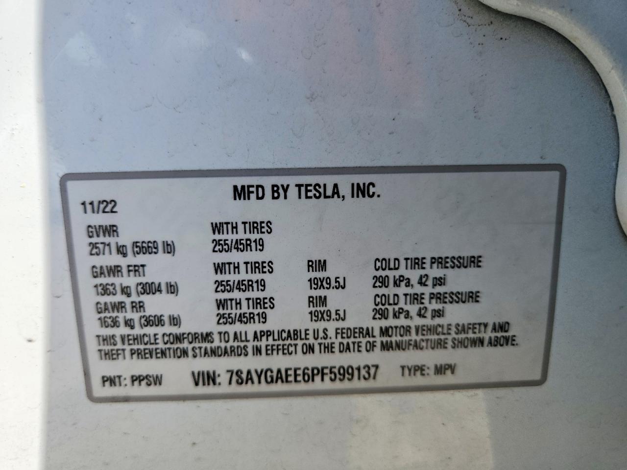 2023 Tesla Model Y White vin: 7SAYGAEE6PF599137
