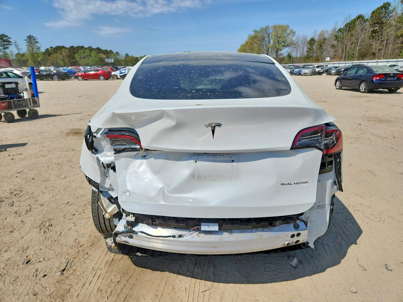 2023 Tesla Model Y White vin: 7SAYGAEE6PF599137