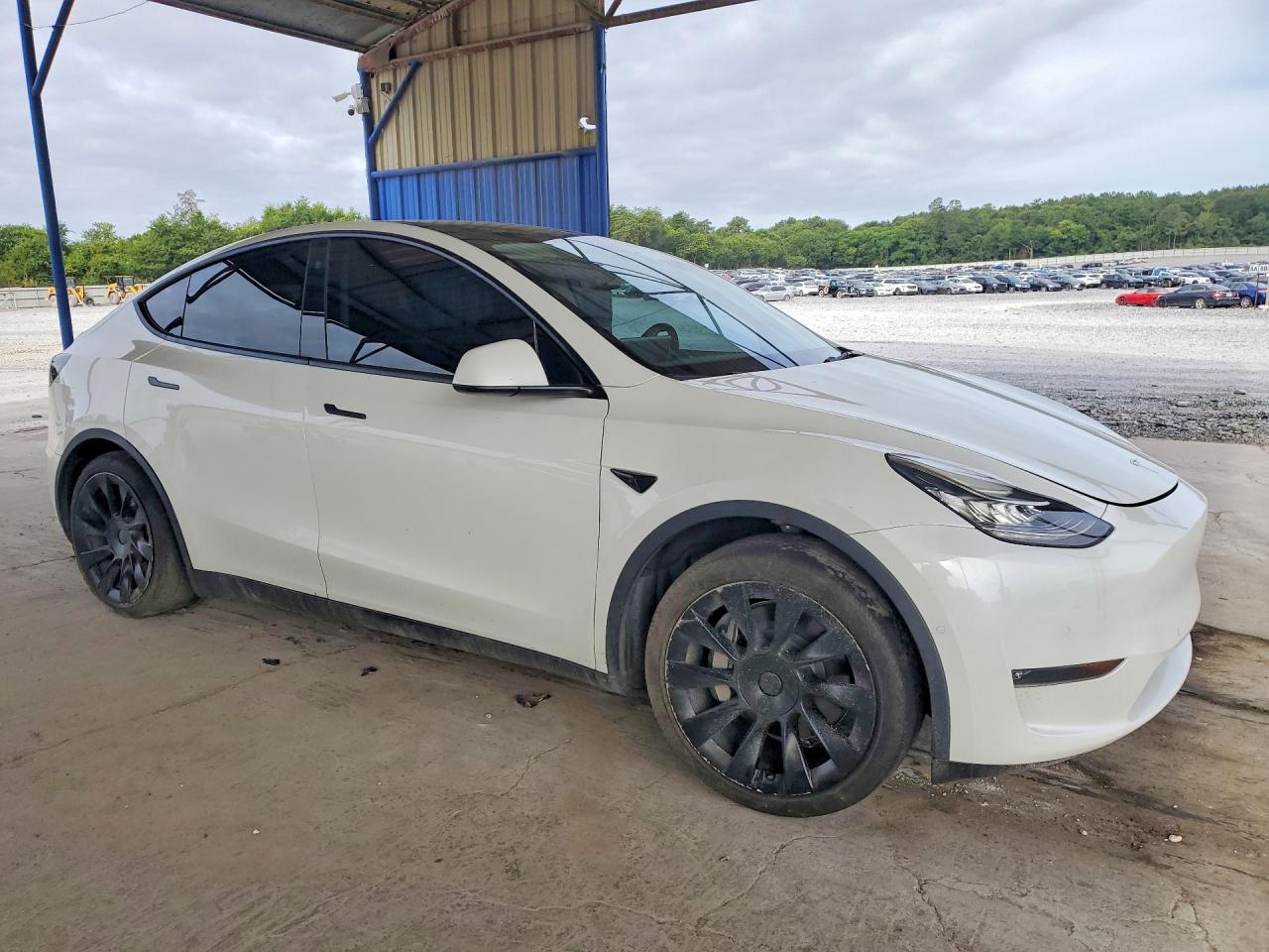 2022 Tesla Model Y White vin: 7SAYGAEE7NF337527