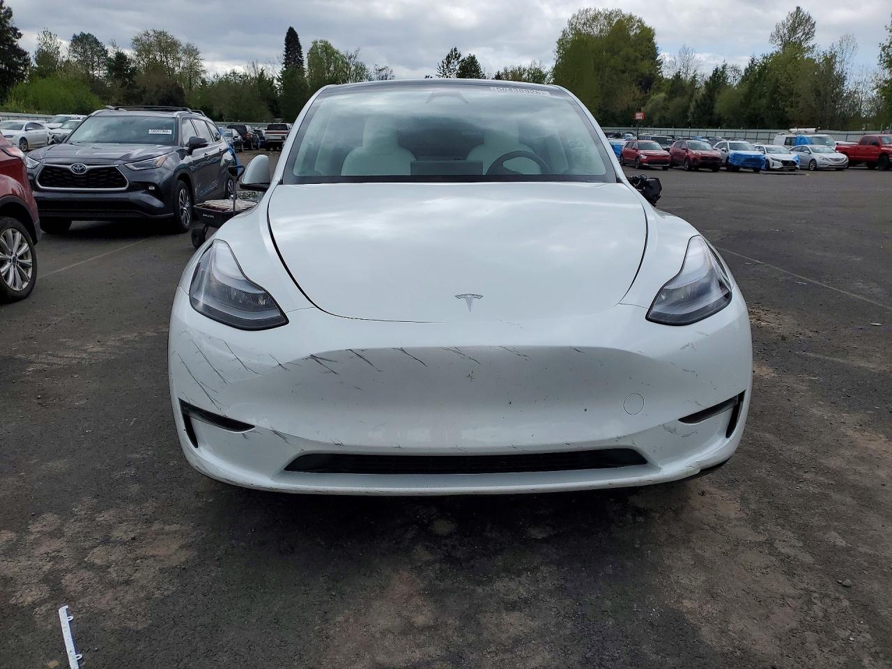 2025 Tesla Model Y White vin: 7SAYGDED0SF281595