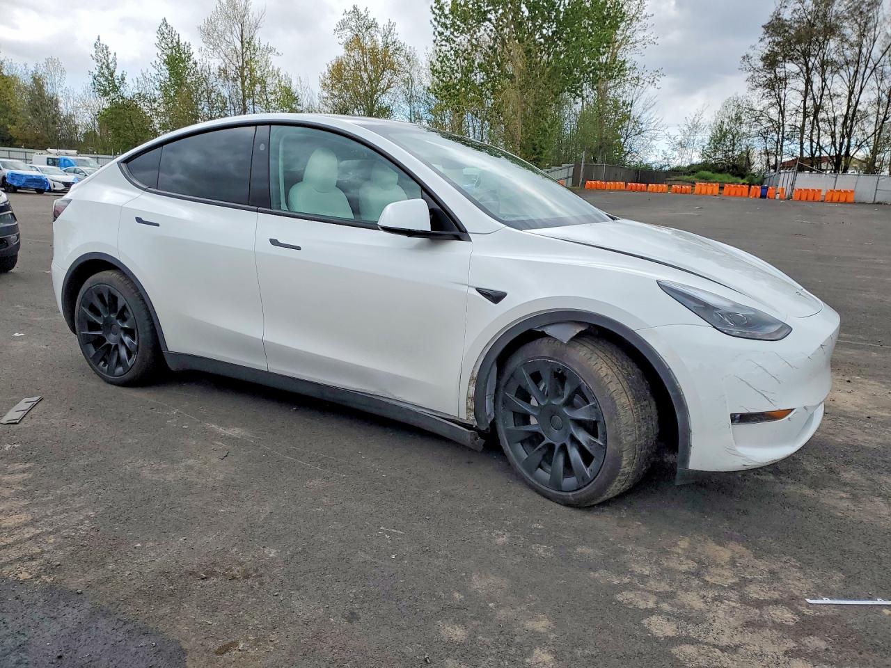 2025 Tesla Model Y White vin: 7SAYGDED0SF281595