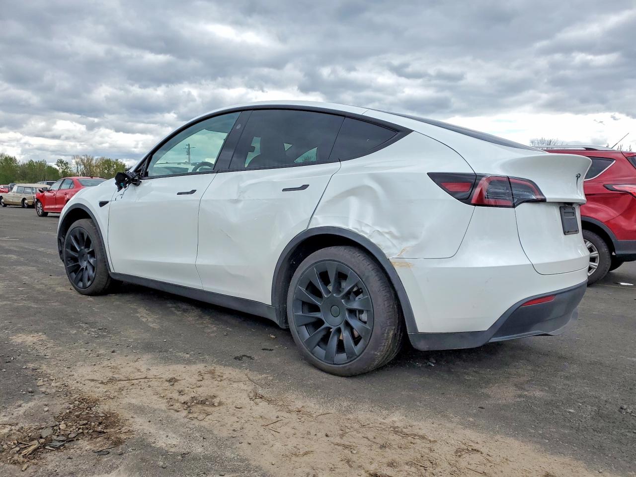 2025 Tesla Model Y White vin: 7SAYGDED0SF281595