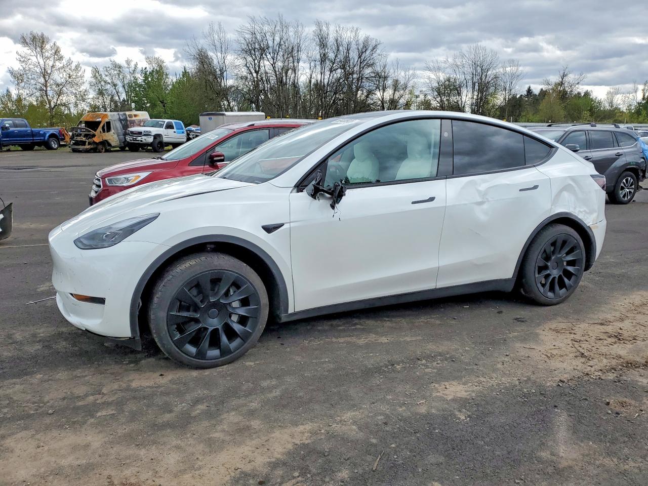 2025 Tesla Model Y White vin: 7SAYGDED0SF281595