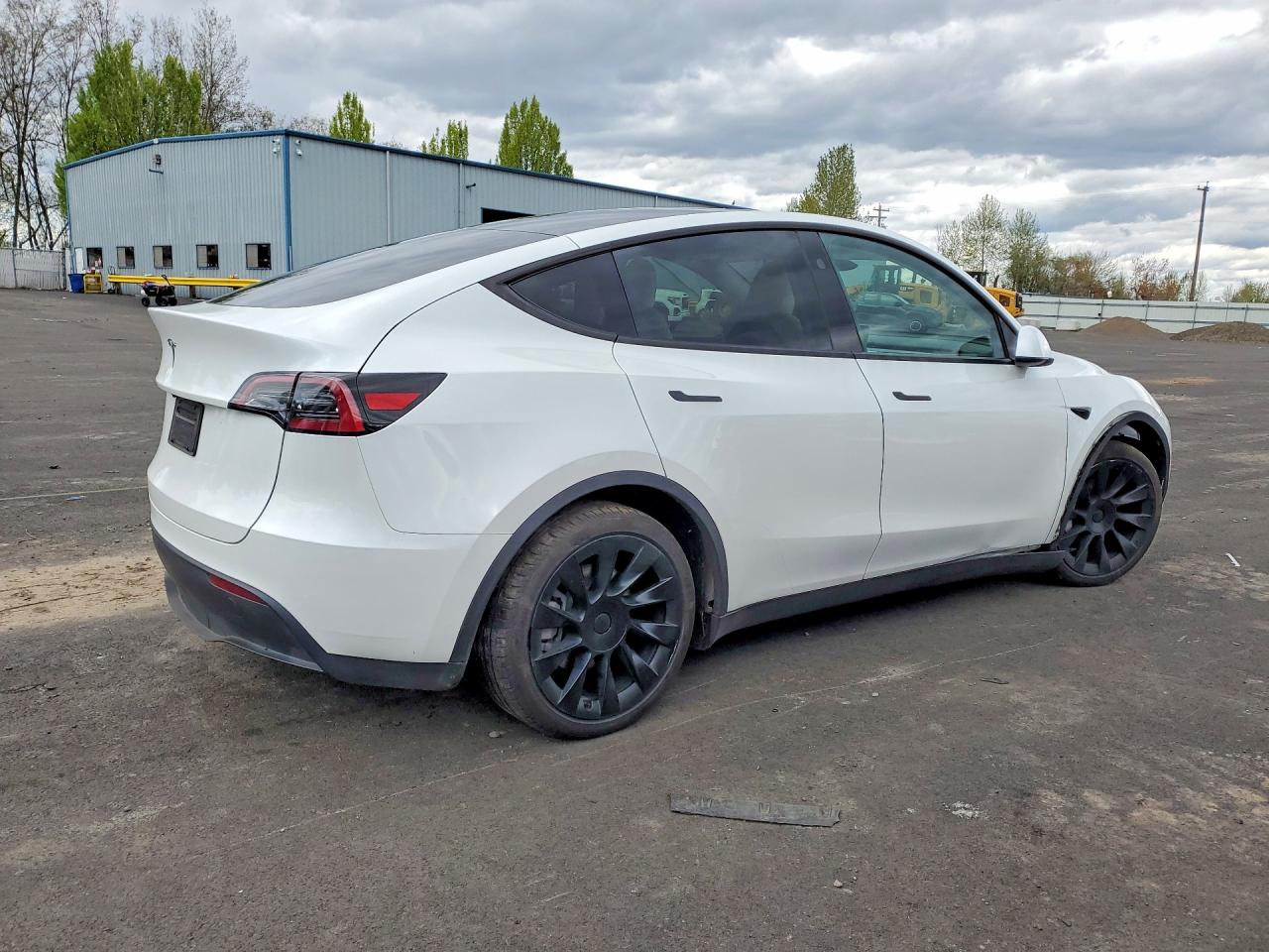 2025 Tesla Model Y White vin: 7SAYGDED0SF281595