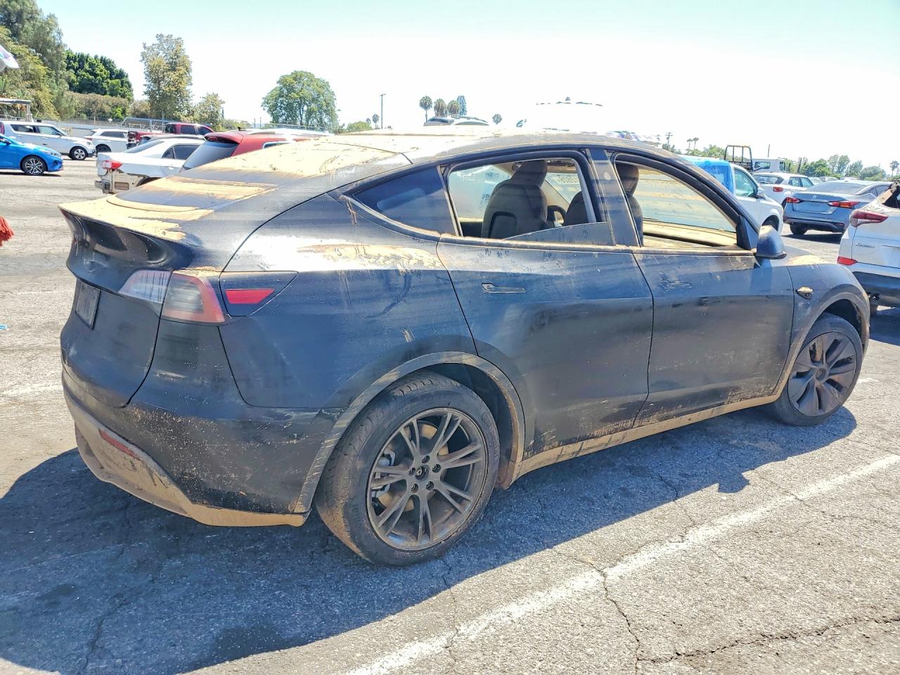 2024 Tesla Model Y Black vin: 7SAYGDED2RF166149