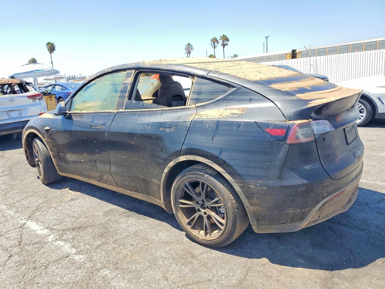 2024 Tesla Model Y Black vin: 7SAYGDED2RF166149