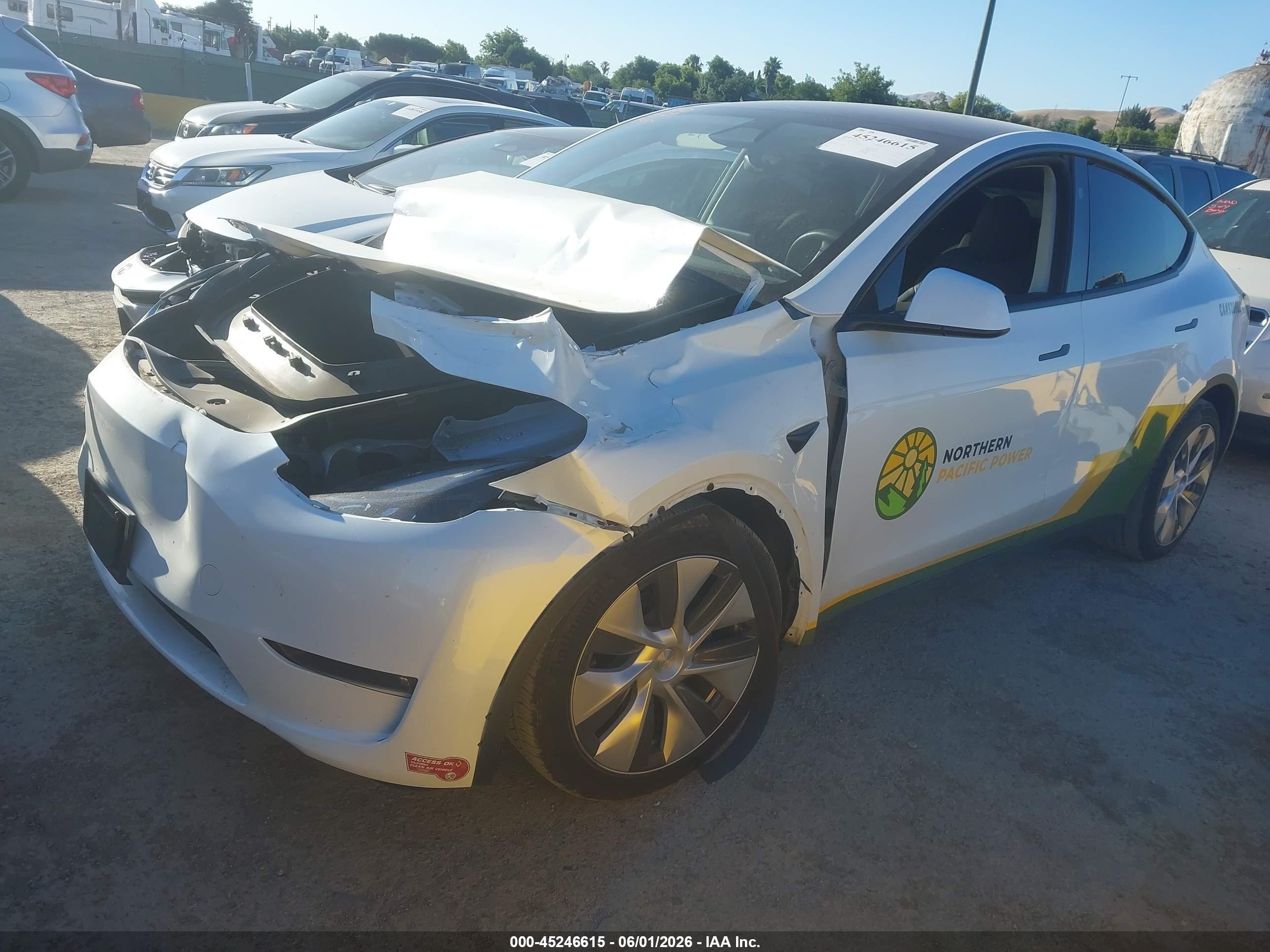 2023 Tesla Model Y Rwd Белый vin: 7SAYGDED3PF950241