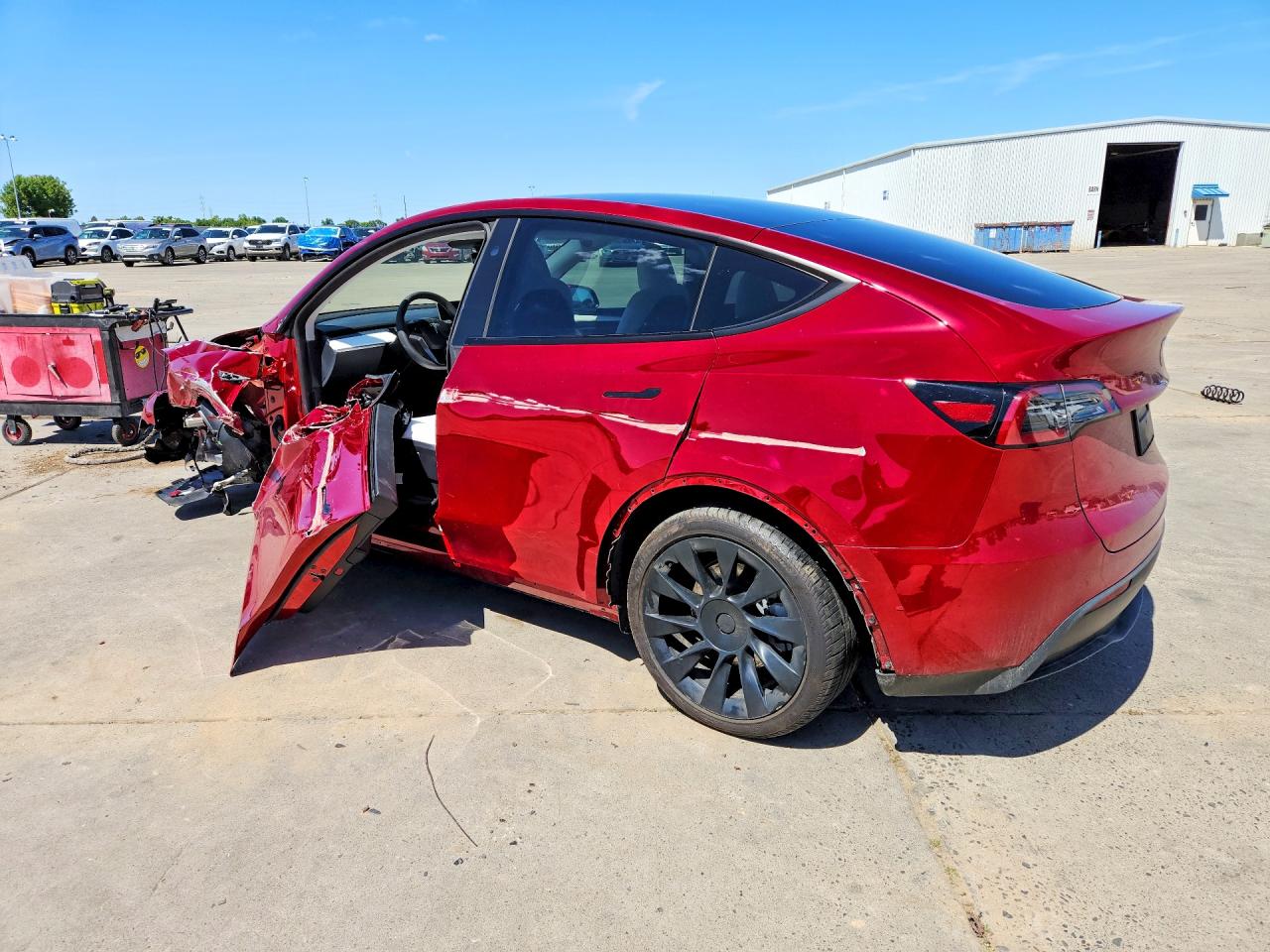 2025 Tesla Model Y Красный vin: 7SAYGDED3SF234979