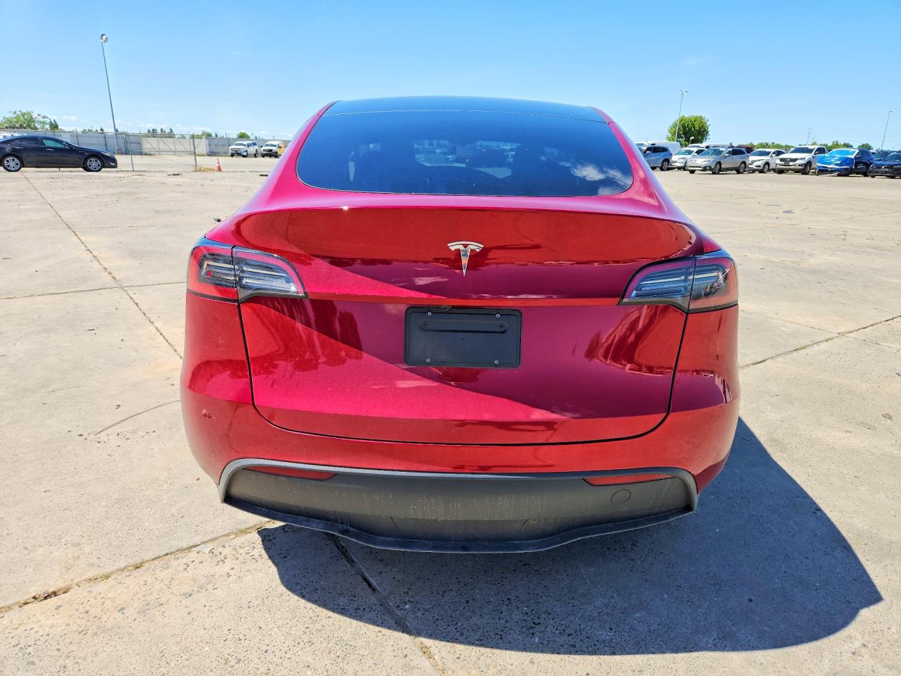 2025 Tesla Model Y Красный vin: 7SAYGDED3SF234979