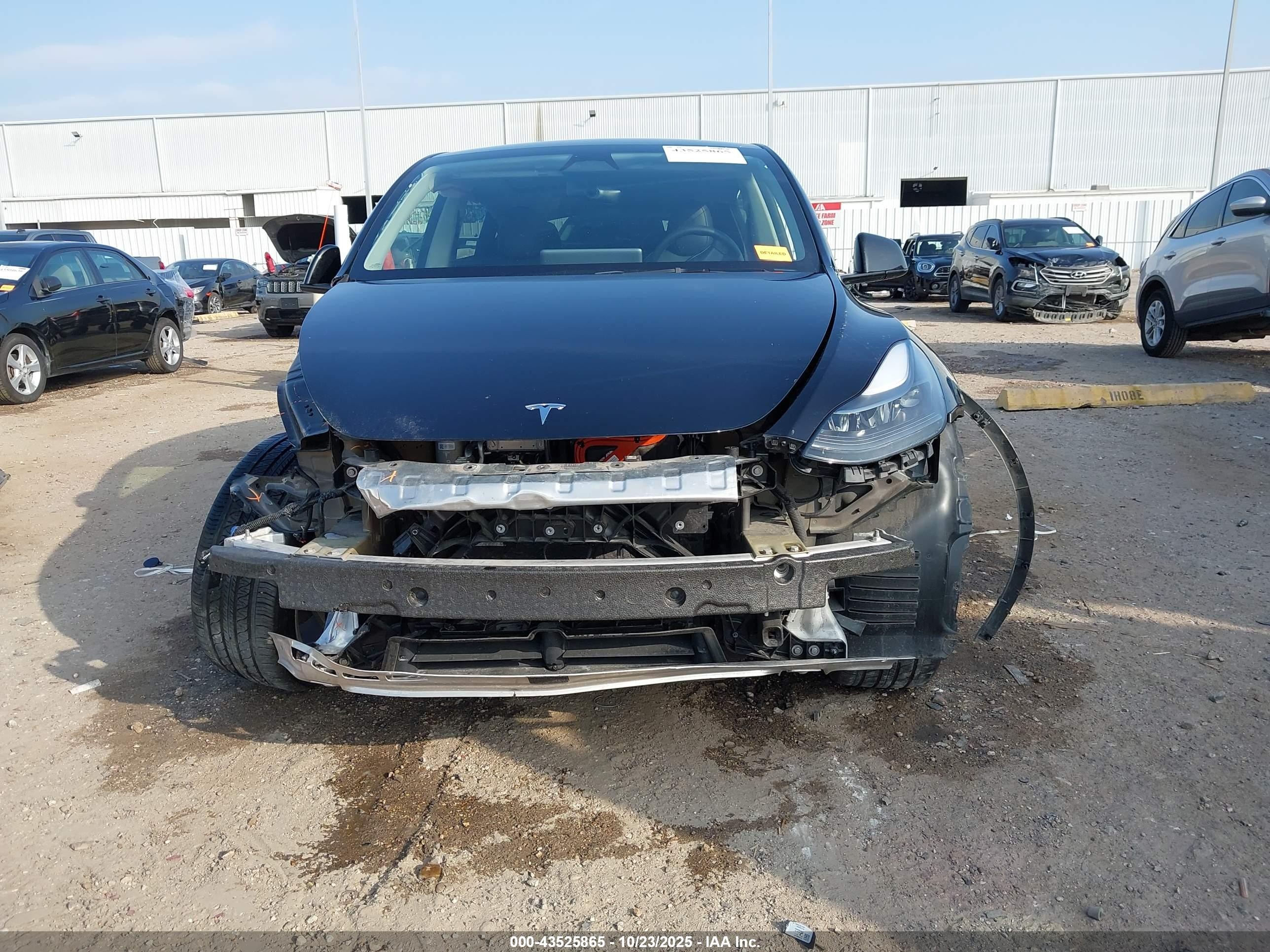 2024 Tesla Model Y Rwd Black vin: 7SAYGDEDXRF071712