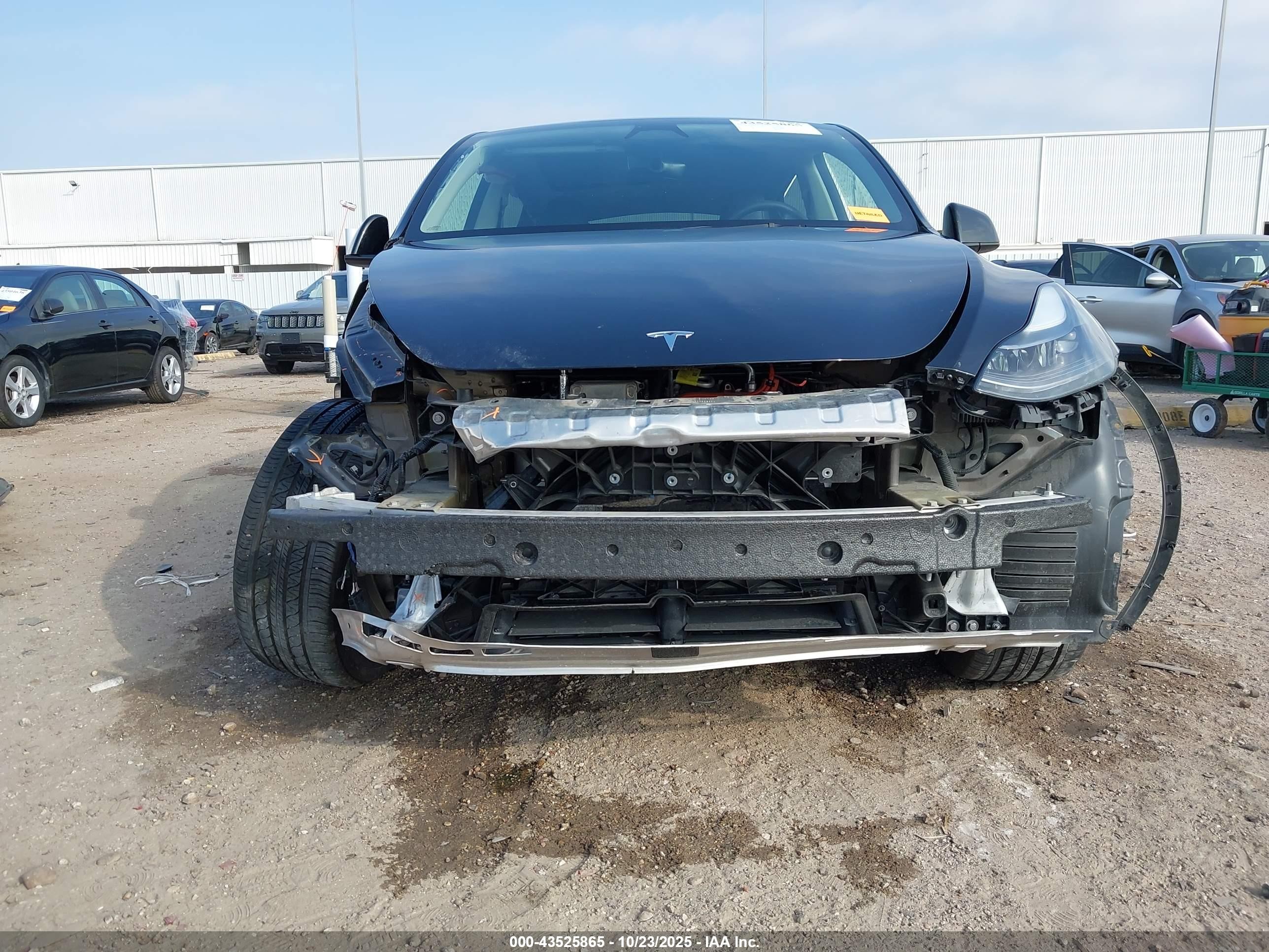 2024 Tesla Model Y Rwd Black vin: 7SAYGDEDXRF071712