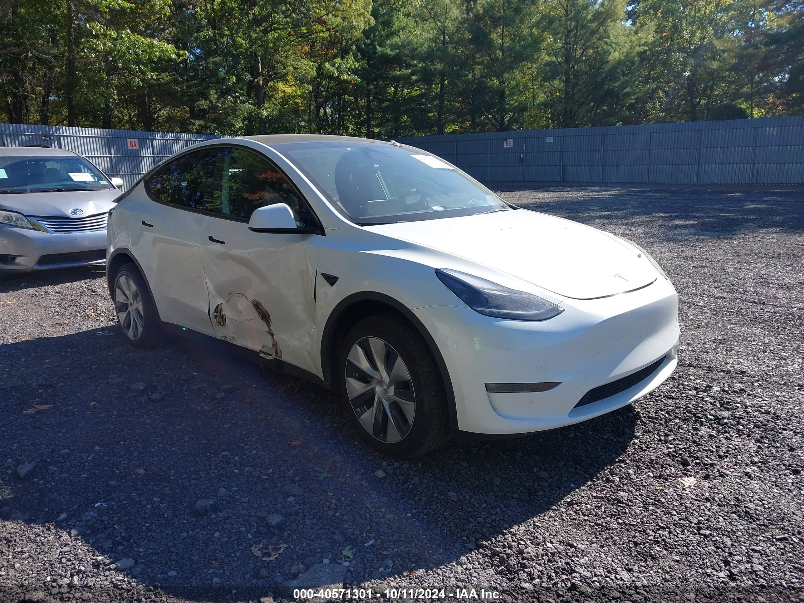 2024 Tesla Model Y Long Range Dual Motor All-wheel Drive Белый vin: 7SAYGDEE3RF007794