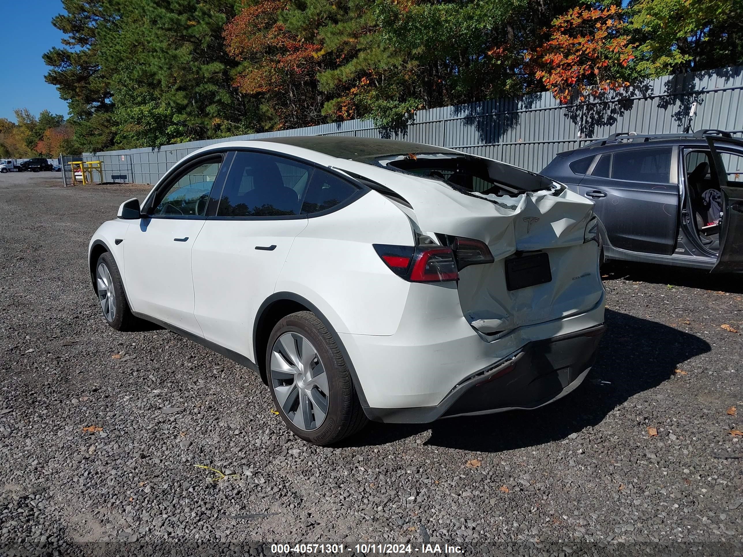 2024 Tesla Model Y Long Range Dual Motor All-wheel Drive Белый vin: 7SAYGDEE3RF007794