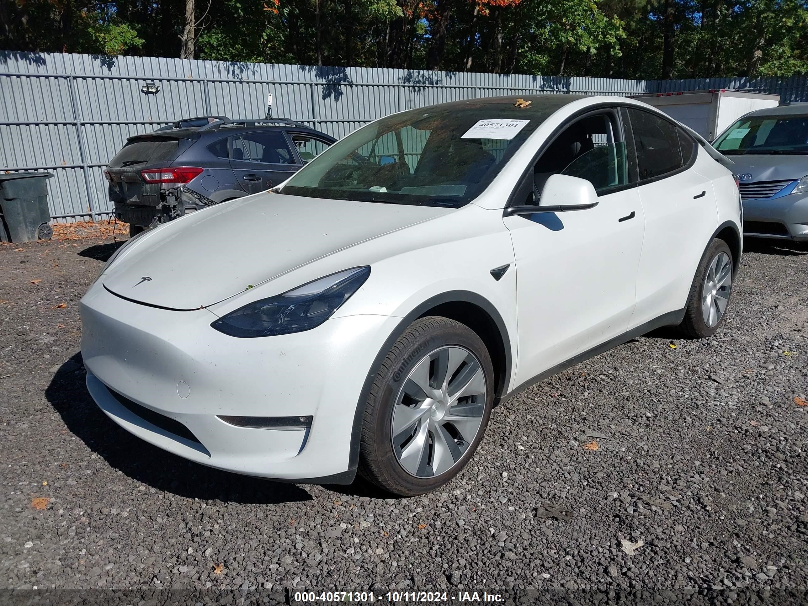 2024 Tesla Model Y Long Range Dual Motor All-wheel Drive Белый vin: 7SAYGDEE3RF007794
