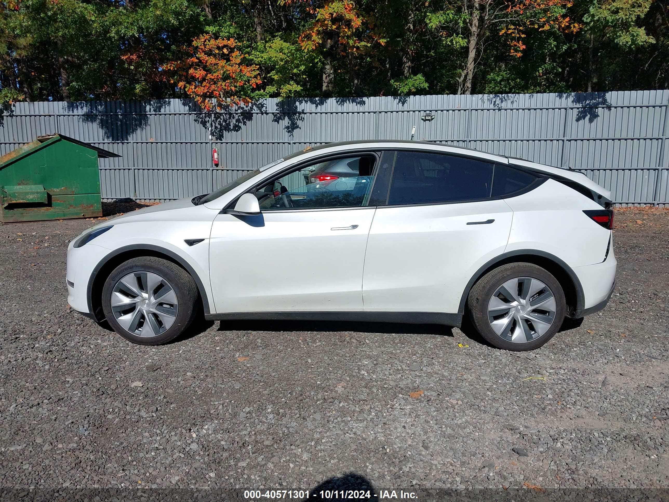2024 Tesla Model Y Long Range Dual Motor All-wheel Drive Белый vin: 7SAYGDEE3RF007794