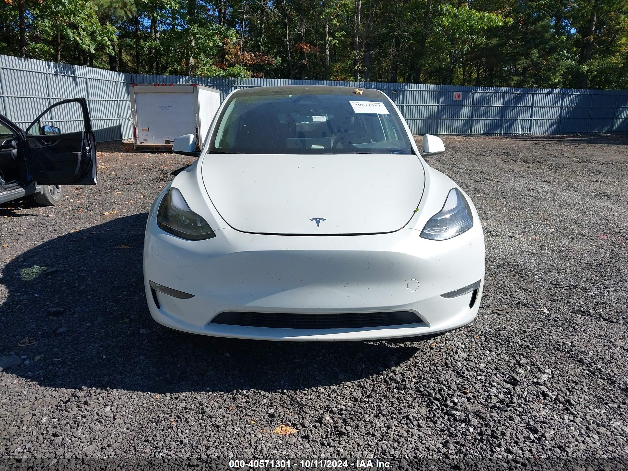 2024 Tesla Model Y Long Range Dual Motor All-wheel Drive Белый vin: 7SAYGDEE3RF007794
