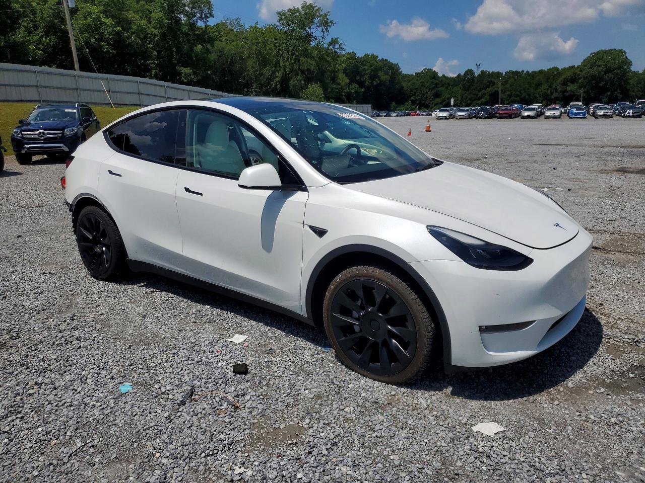 2023 Tesla Model Y White vin: 7SAYGDEE4PF800812