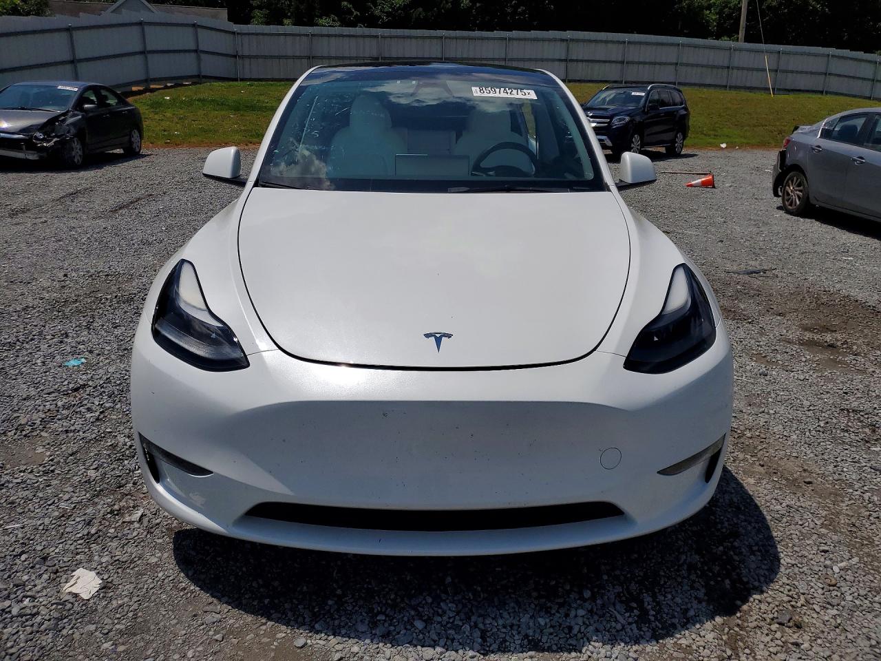 2023 Tesla Model Y White vin: 7SAYGDEE4PF800812