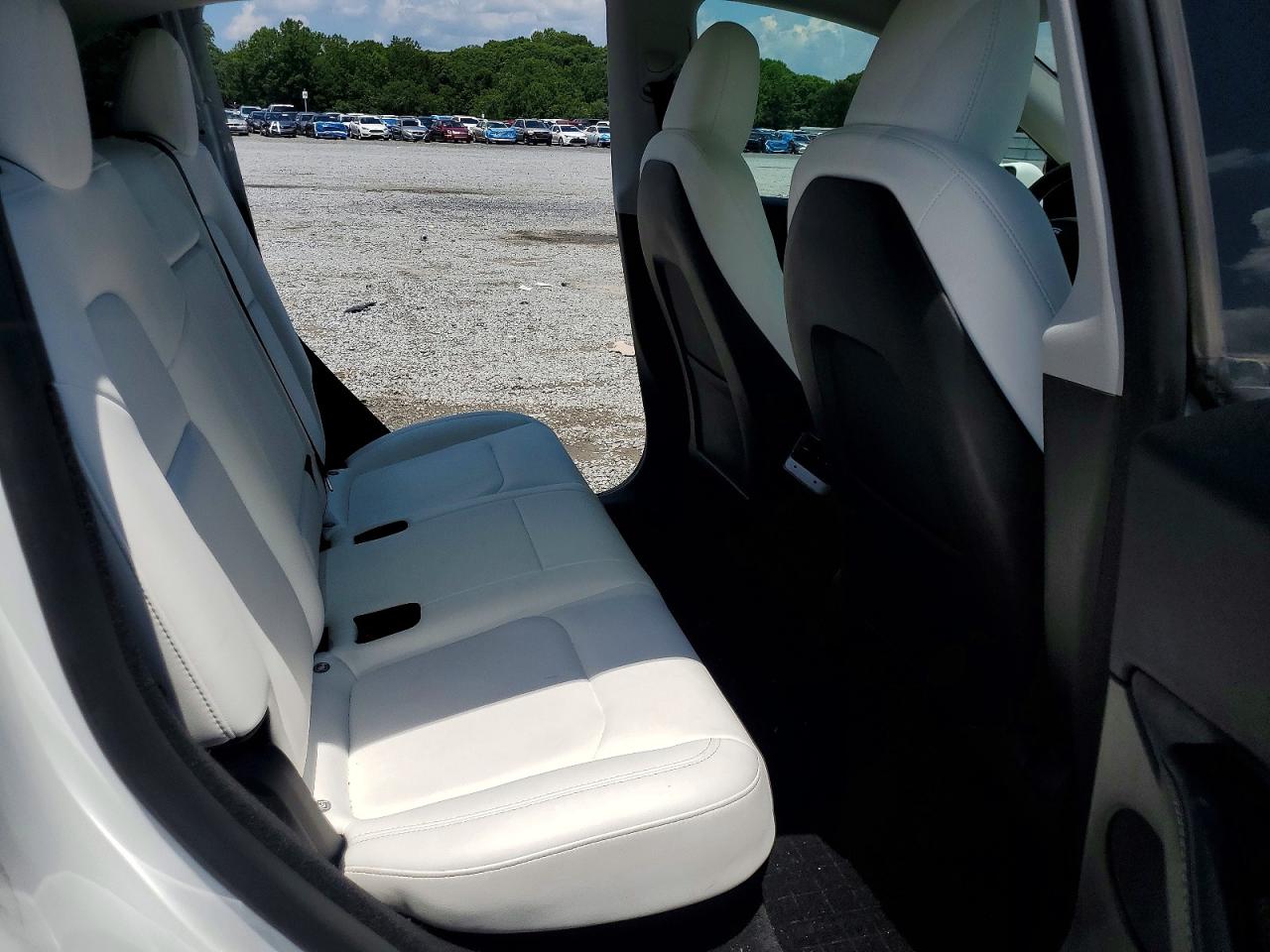 2023 Tesla Model Y White vin: 7SAYGDEE4PF800812