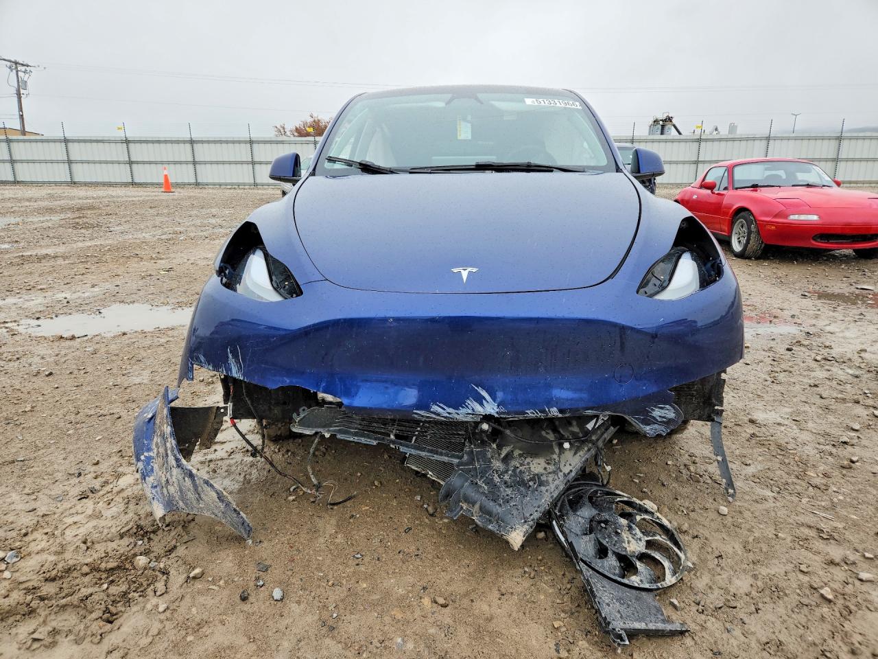 2023 Tesla Model Y Blue vin: 7SAYGDEE4PF841764