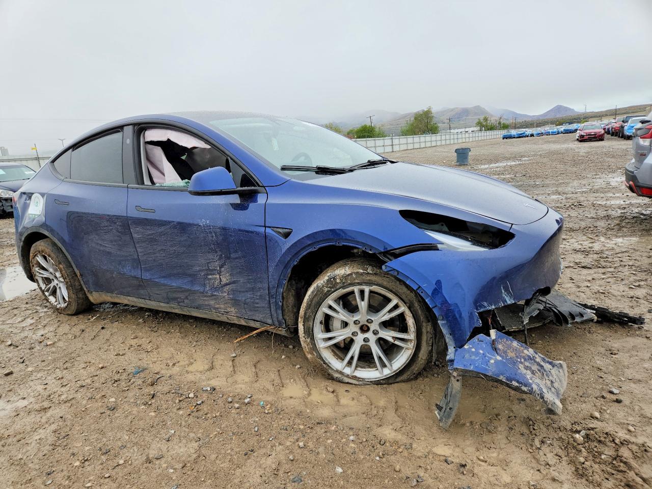 2023 Tesla Model Y Blue vin: 7SAYGDEE4PF841764