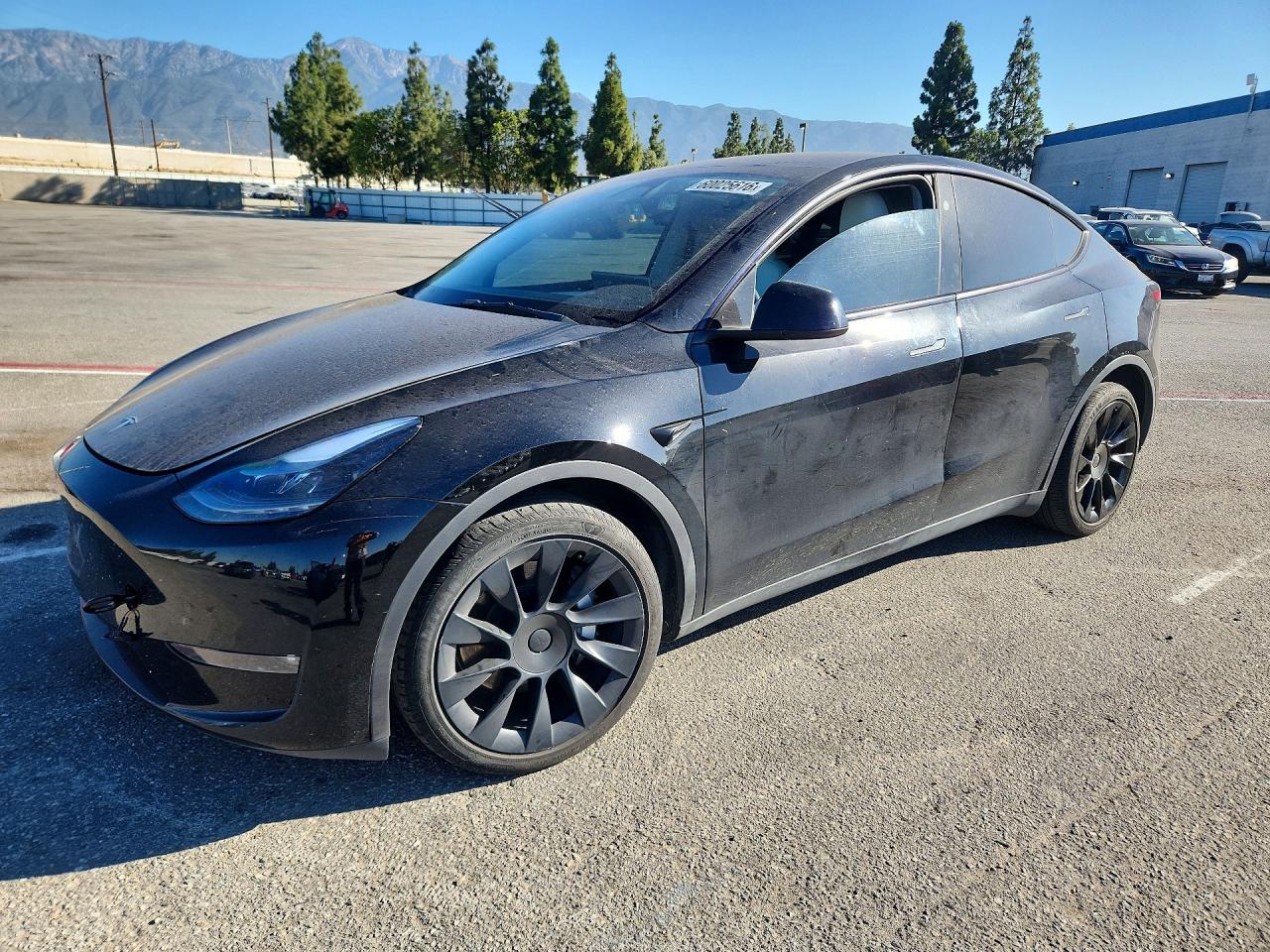 2023 Tesla Model Y Черный vin: 7SAYGDEE4PF867653