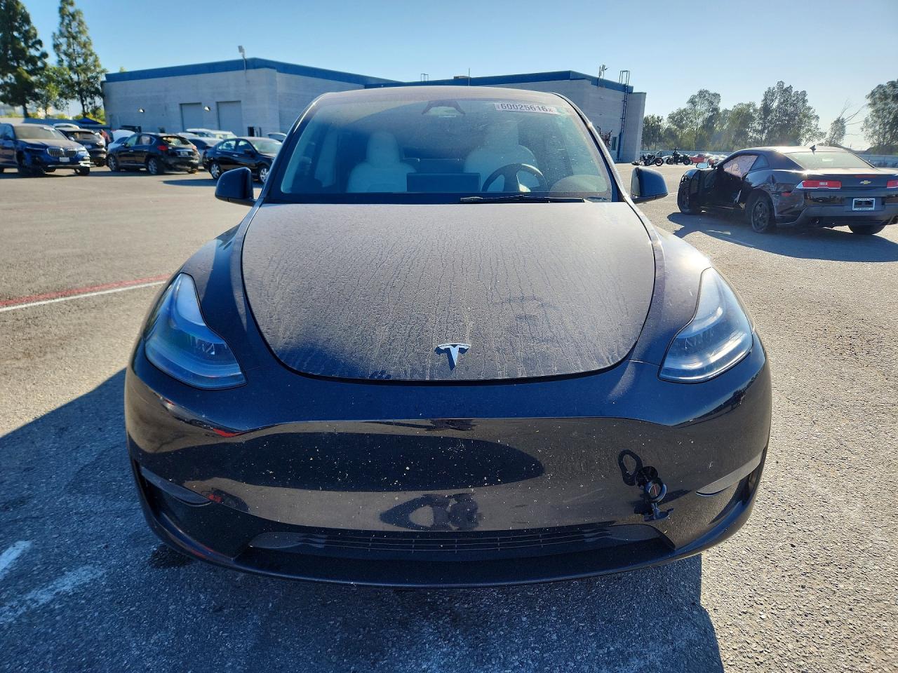 2023 Tesla Model Y Black vin: 7SAYGDEE4PF867653