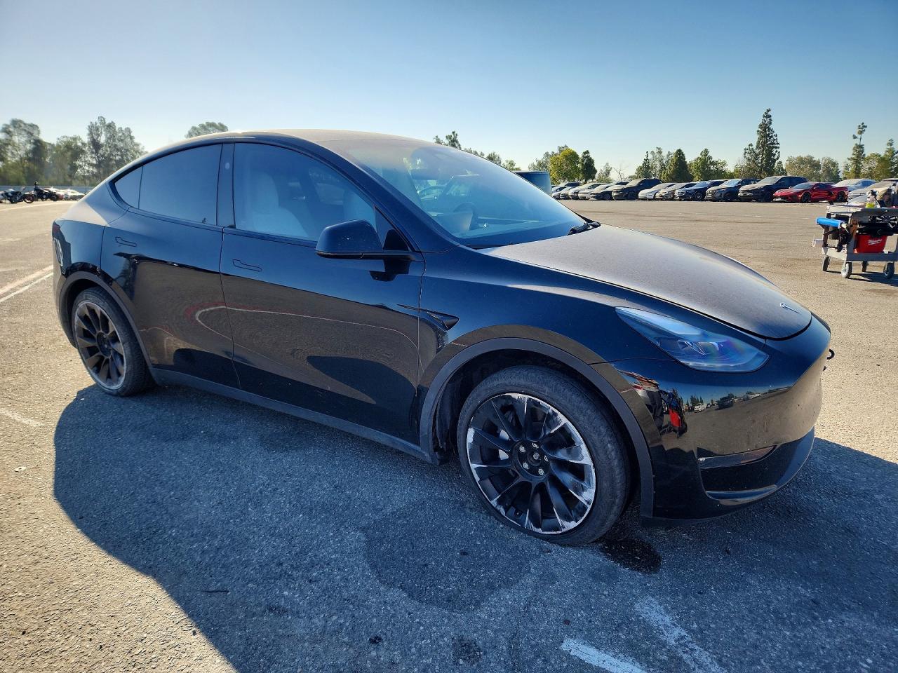 2023 Tesla Model Y Black vin: 7SAYGDEE4PF867653