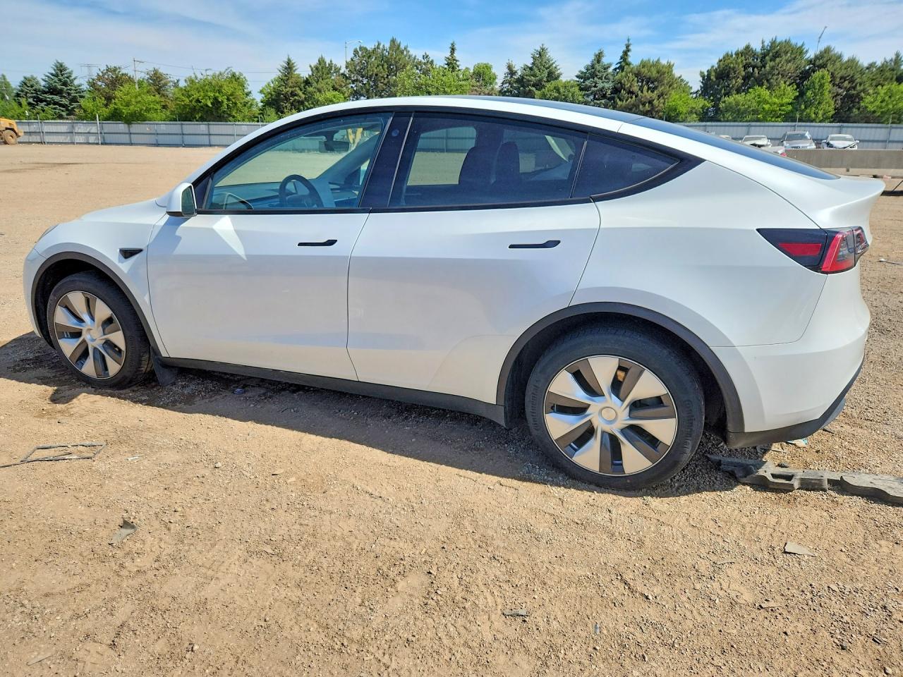 2023 Tesla Model Y White vin: 7SAYGDEE6PA041741