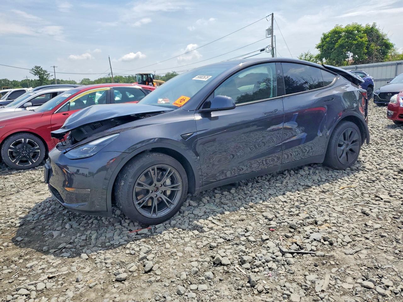 2024 Tesla Model Y Серый vin: 7SAYGDEE6RA330167