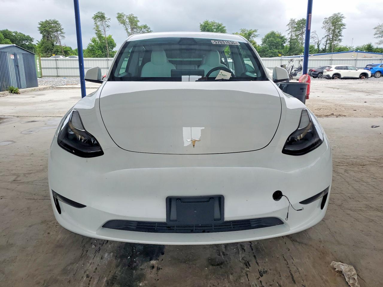2023 Tesla Model Y White vin: 7SAYGDEE7PA176677