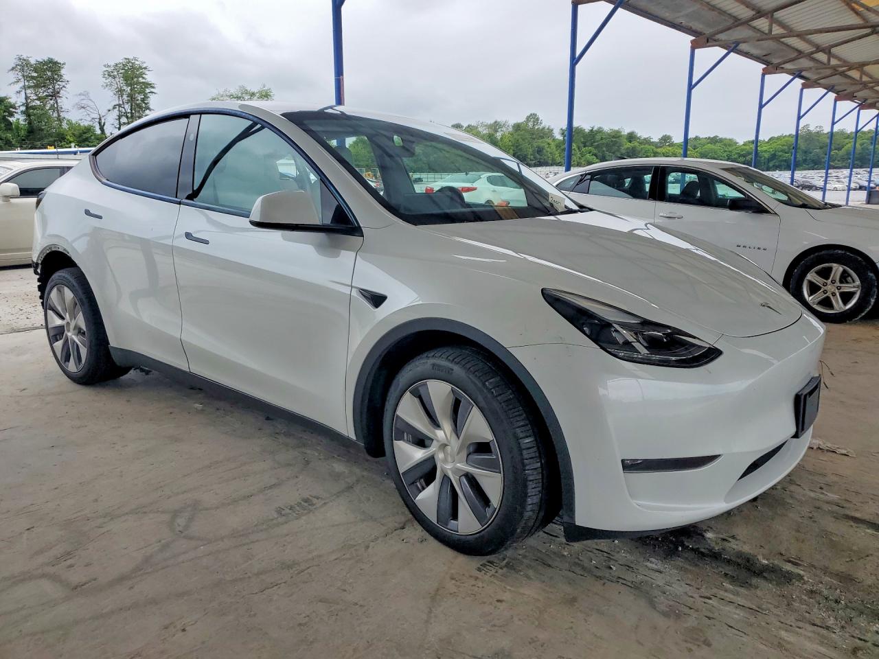 2023 Tesla Model Y White vin: 7SAYGDEE7PA176677