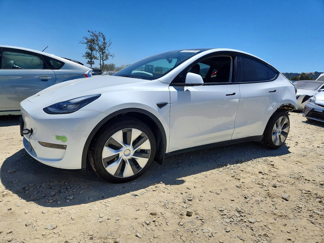 2022 Tesla Model Y Белый vin: 7SAYGDEE9NF363838