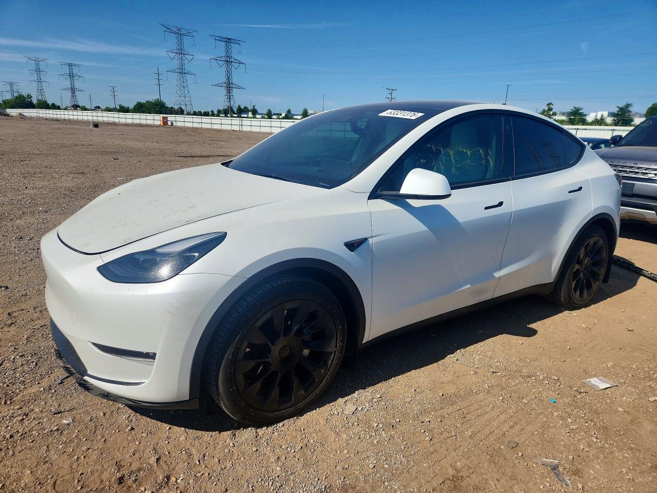 2023 Tesla Model Y Белый vin: 7SAYGDEE9PF755155