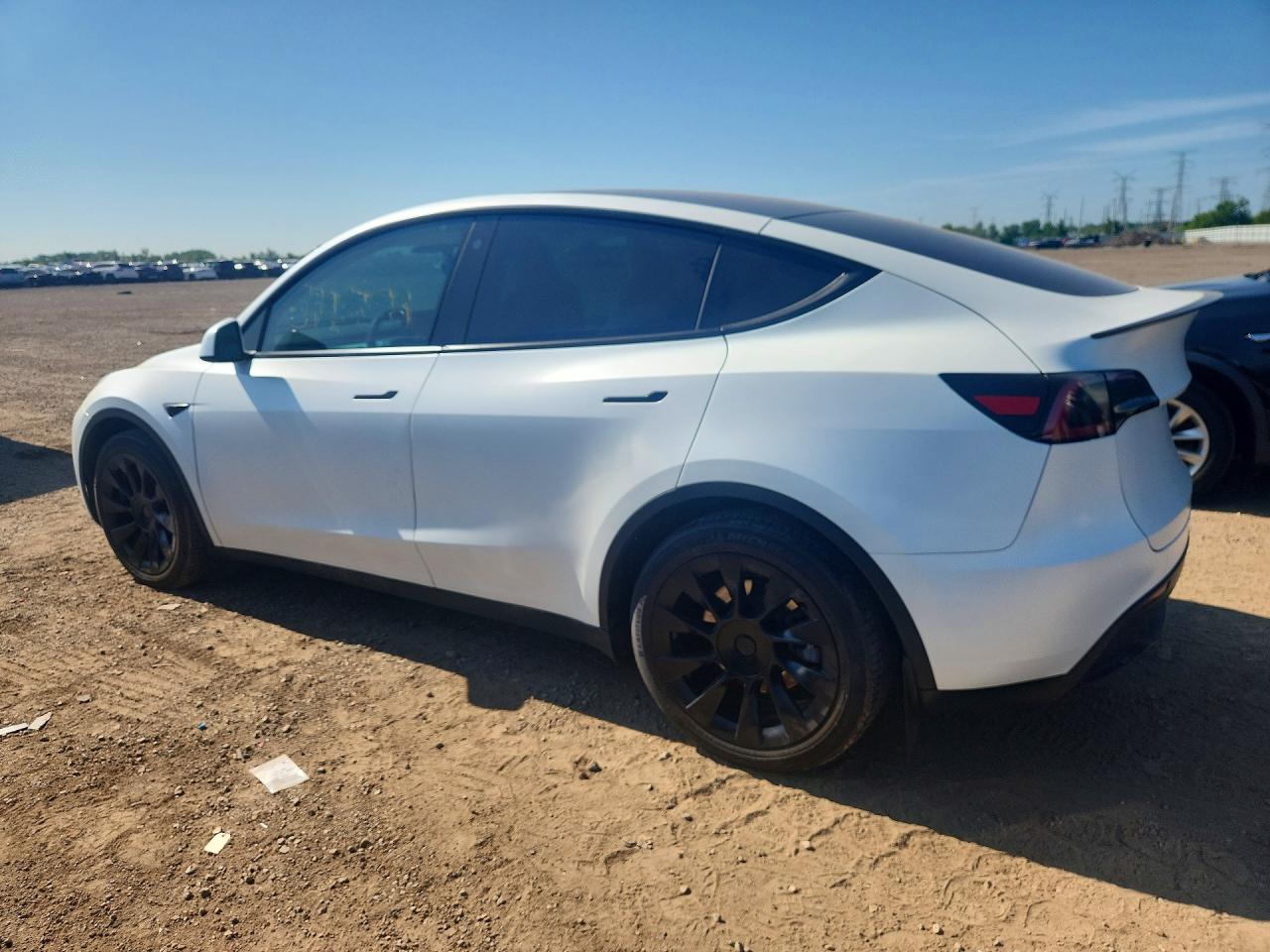 2023 Tesla Model Y Белый vin: 7SAYGDEE9PF755155
