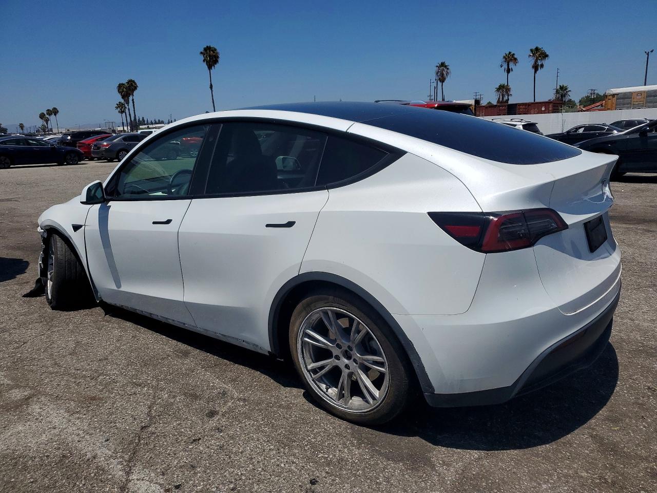 2023 Tesla Model Y White vin: 7SAYGDEEXPF630262